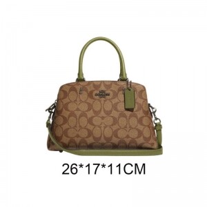 COACH 코치 미니 릴리 캐리올백 F91494brown-green